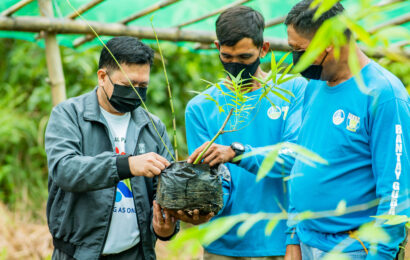 SMC Plants 3.5 Million Trees, Mangroves