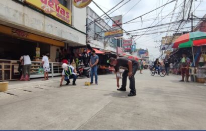 DILG inspects infra projects in Malolos Public Market