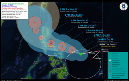 Paeng leaves 1 dead, P15.3M damage in Bulacan