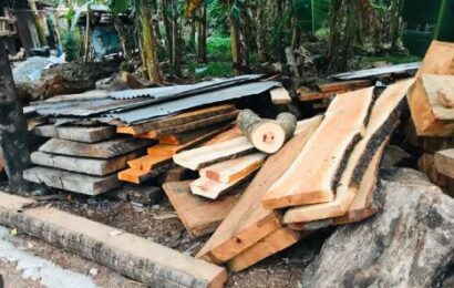 Ilegal na troso ng Narra nasabat sa Bulacan