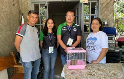 <strong>BENRO rescues juvenile PH Scops owl</strong>