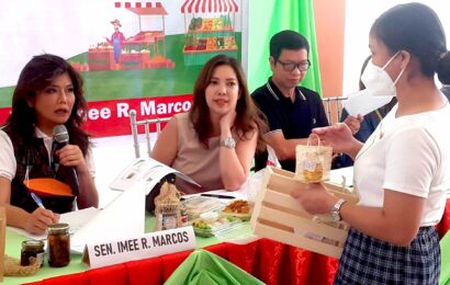 <strong>DA, aagapay sa Youth Farmers ng Bulacan</strong>