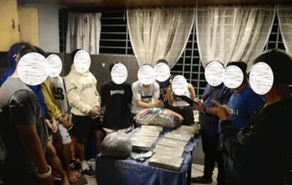 Bulacan PNP seizes P1.8M marijuana
