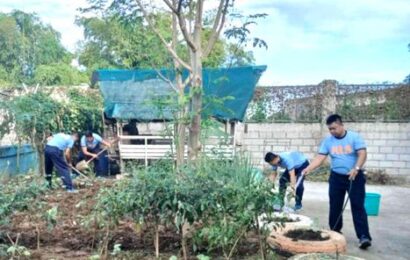 Nueva Ecija PPO-Maneuver Platoon launches urban gardenin
