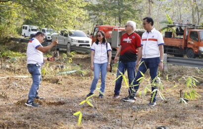 DPWH Tarlac 1st DEO conducts tree planting