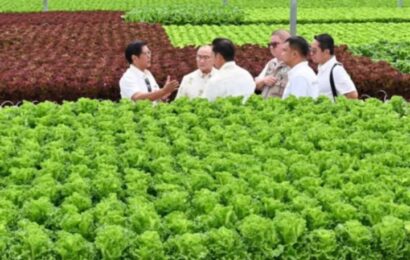 PH’s biggest vegetable greenhouse facility, showcases Philippine-Israeli Agri-Ties
