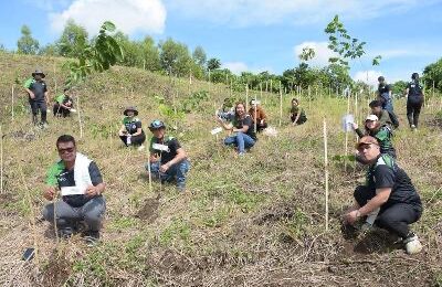 TREES FOR A GREENER TOMORROW