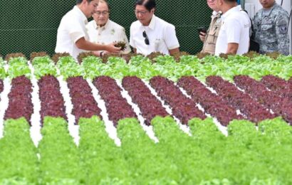 PH’s biggest vegetable greenhouse facility, showcases Philippine-Israeli Agri-Ties