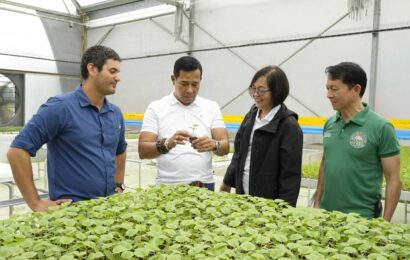 Bulacan as modern agri-hub, Fernando lauds Metro Pacific’s high-tech, sustainable greenhouse