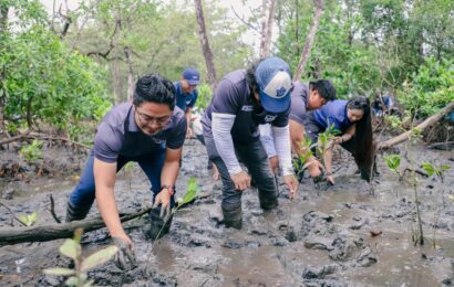 BCDA, CLMA plant 200 saplings mangrove conservation in Subic