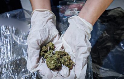 BOC Port of Clark seizes P1.068M worth of illegal drugs 