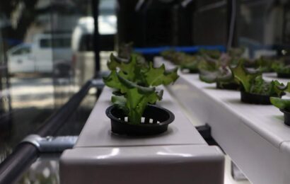 Sanyo Denki donates two Hydroponic System units to SBMA