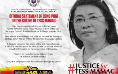 Tess Mamac, pinatay at ibinaon sa sariling compound