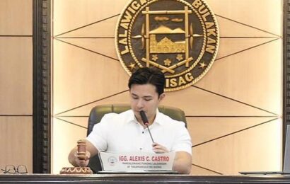 2 Panukalang Kapasyahan Kontra Oil Price Hike Ni Vice Gov. Alex Castro, Inaprubahan
