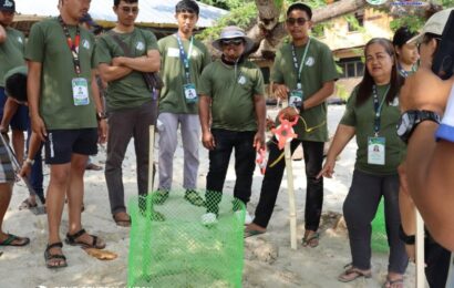 DENR strengthens marine turtle protection in Zambales DENR strengthens marine turtle protection in Zambales