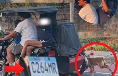 CONG POGI CALLS ON LTO, PTRO ANGELES TO IDENTIFY TRIKE DRIVER IN ALLEGED ANIMAL ABUSE CONG POGI CALLS ON LTO, PTRO ANGELES TO IDENTIFY TRIKE DRIVER IN ALLEGED ANIMAL ABUSE