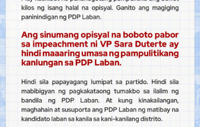 PDP Laban releases statement on VP’s Impeachment, position on political accountability PDP Laban releases statement on VP’s Impeachment, position on political accountability